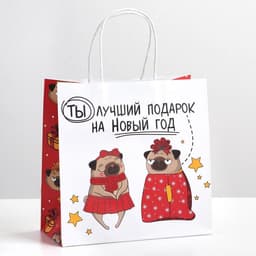 Пакет подарочный новогодний «Ты - лучший подарок», 22×22×11 см