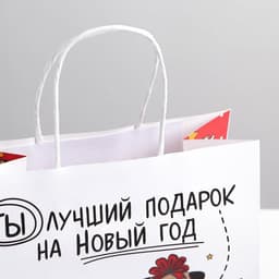 Пакет подарочный новогодний «Ты - лучший подарок», 22×22×11 см