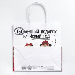 Пакет подарочный новогодний «Ты - лучший подарок», 22×22×11 см