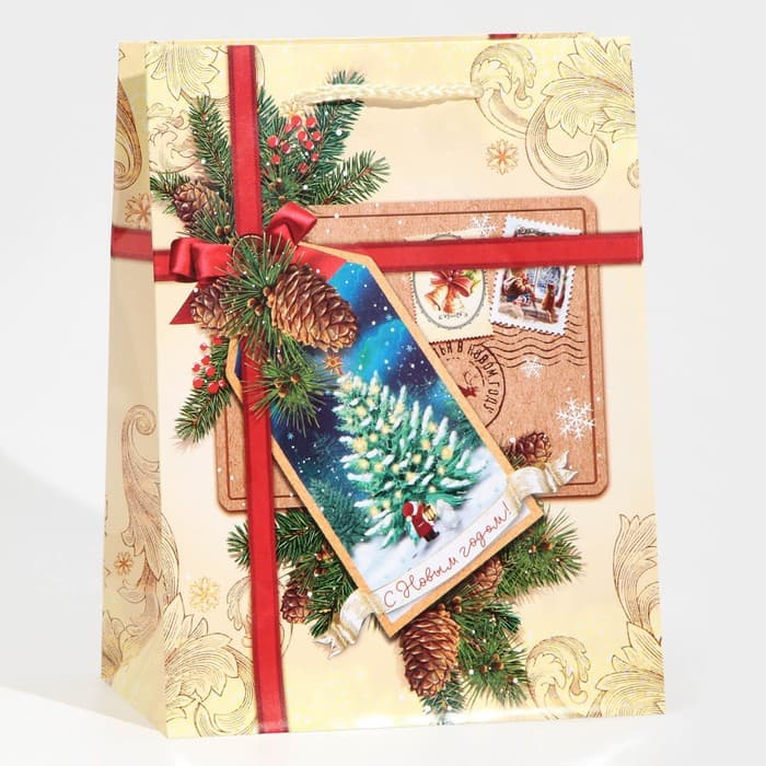 Пакет подарочный новогодний ламинированный «С Новым годом!», MS 18×23×8 см