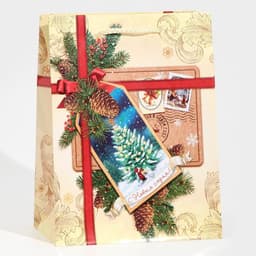 Пакет подарочный новогодний ламинированный «С Новым годом!», MS 18×23×8 см