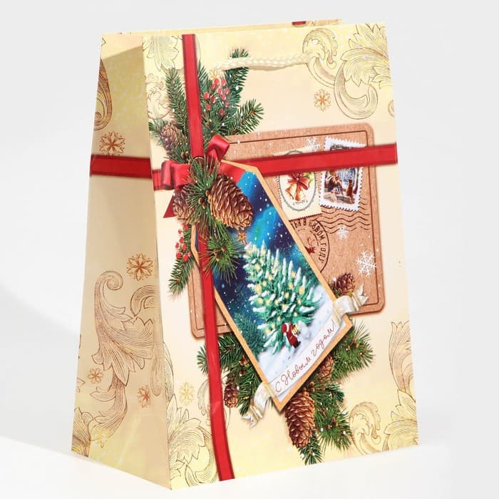 Пакет подарочный новогодний ламинированный «С Новым годом!», MS 18×23×8 см