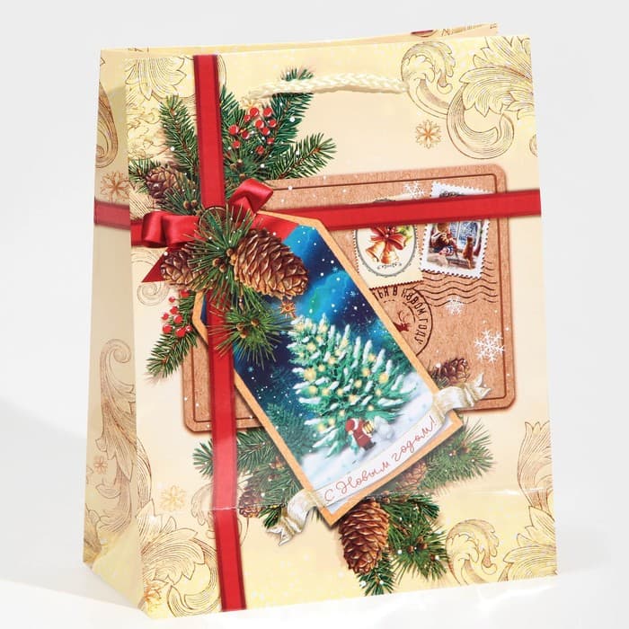 Пакет подарочный новогодний ламинированный «С Новым годом!», MS 18×23×8 см