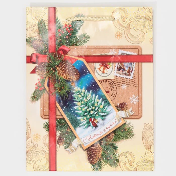 Пакет подарочный новогодний ламинированный «С Новым годом!», MS 18×23×8 см