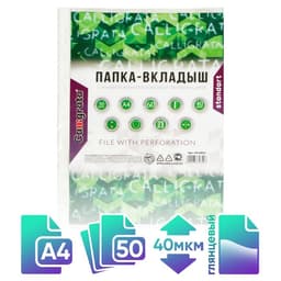 Файл - вкладыш Calligrata, А4, 40 мкм, глянцевый, вертикальный, 50 штук