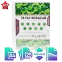Файл - вкладыш Calligrata, А4, 40 мкм, глянцевый, вертикальный, 25 штук