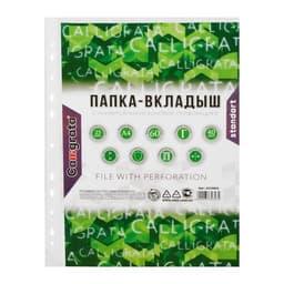 Файл - вкладыш Calligrata, А4, 40 мкм, глянцевый, вертикальный, 25 штук