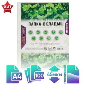 Файл - вкладыш Calligrata, А4, 45 мкм, глянцевый, вертикальный, 100 штук