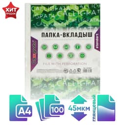Файл - вкладыш Calligrata, А4, 45 мкм, глянцевый, вертикальный, 100 штук