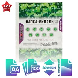 Файл - вкладыш Calligrata, А4, 45 мкм, глянцевый, вертикальный, 100 штук