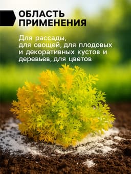 Доломитовая мука «Рецепты Дедушки Никиты» 3 кг