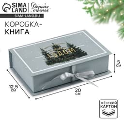 Коробка - книга подарочная «С Новым годом», 20×12.5×5 см