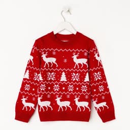 Джемпер детский новогодний вязаный KAFTAN: New Year, красный, размер 30 (98-104 см)