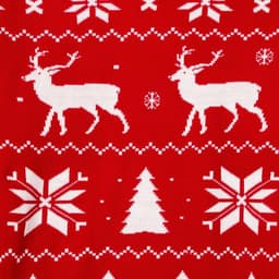 Джемпер детский новогодний вязаный KAFTAN: New Year, красный, размер 30 (98-104 см)