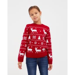 Джемпер детский новогодний вязаный KAFTAN: New Year, красный, размер 30 (98-104 см)