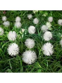 Гирлянда «Нить», 4.5 м, уличная, с насадками «Ёжики», IP44, 30 LED, 2 режима, солнечная батарея, тёмная нить, свечение жёлтое/аквамарин