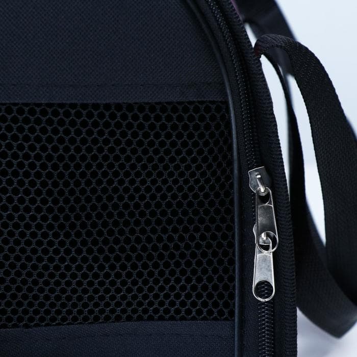 Сумка - переноска для животных с принтом, 40×25×26, цвет МИКС