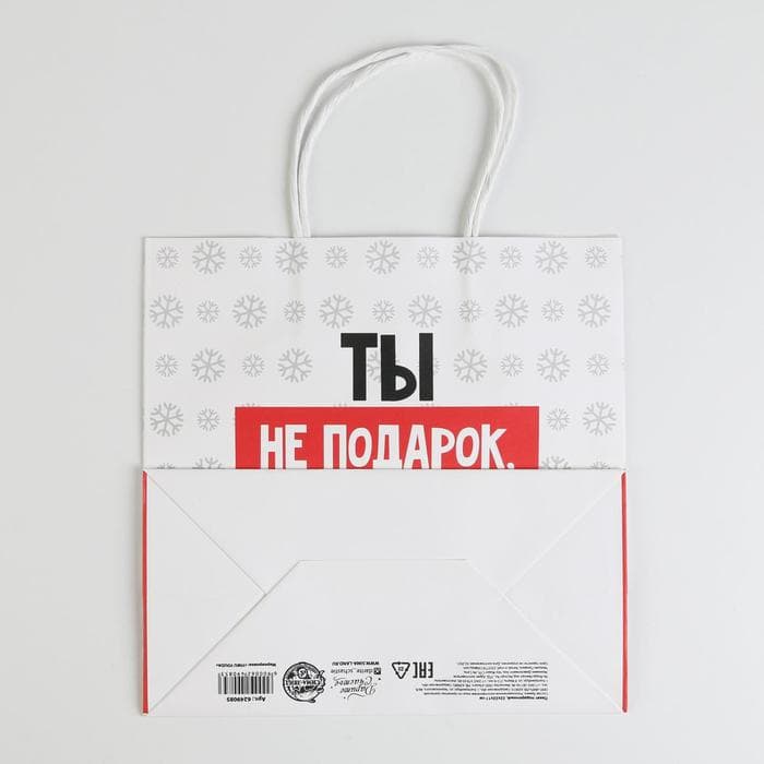 Пакет подарочный новогодний «Ты не подарок», 22×22×11 см
