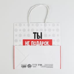 Пакет подарочный новогодний «Ты не подарок», 22×22×11 см