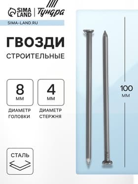 Гвозди ТУНДРА, строительные, ГОСТ 4028-63, без покрытия, 4×100 мм, фасовка 0.2 кг