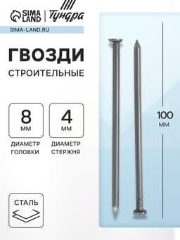 Гвозди ТУНДРА, строительные, ГОСТ 4028-63, без покрытия, 4×100 мм, фасовка 0.2 кг