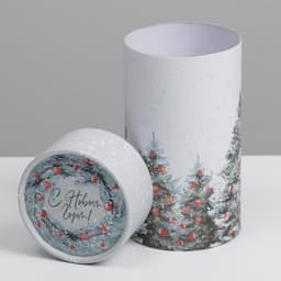 Коробка подарочная «С Новым годом», 8×14.5 см