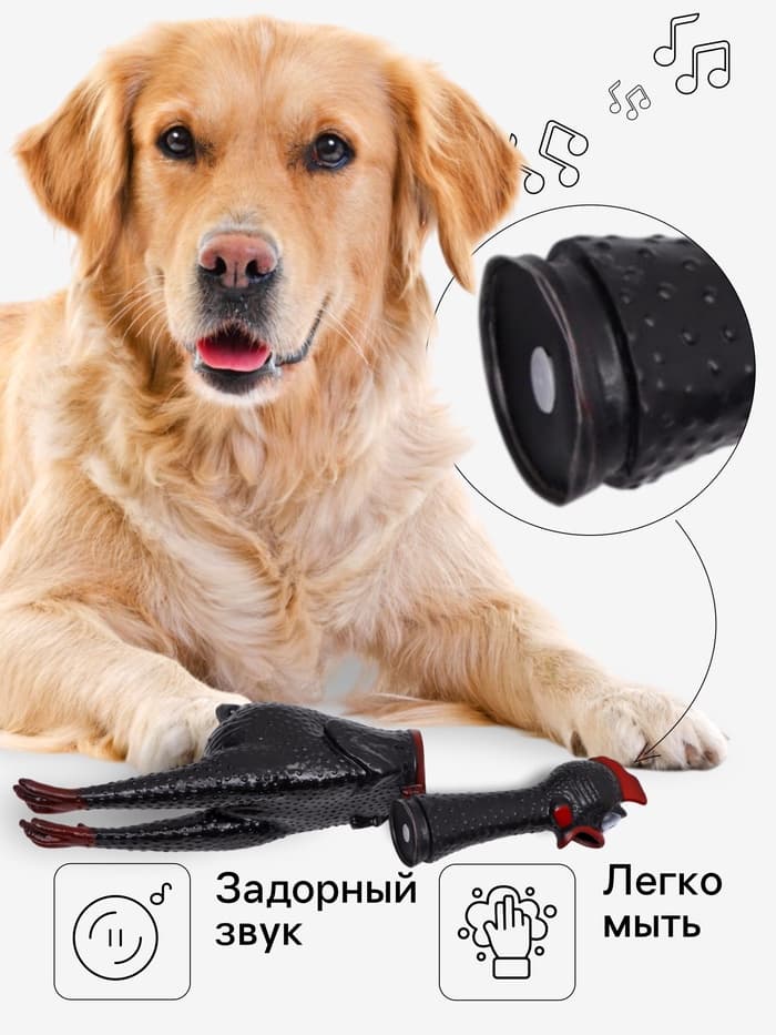 Игрушка пищащая «Задумчивая курица XL» для собак, 41 см, чёрная