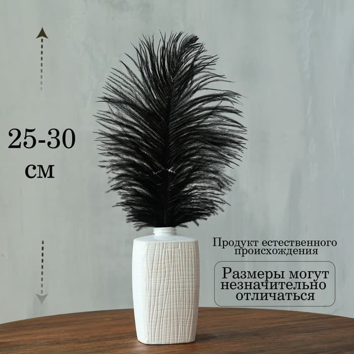 Перо для декора, размер: 25-30 см, чёрное