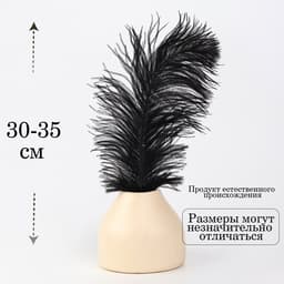 Перо для декора, размер: 30-35 см, цвет чёрный