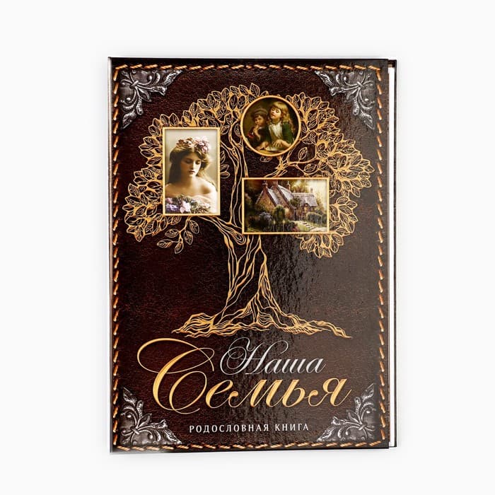 Родословная книга «Наша Семья», 50 листов, 22×31 см