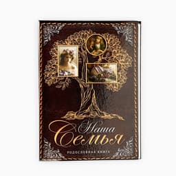 Родословная книга «Наша Семья», 50 листов, 22×31 см
