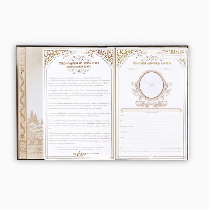 Родословная книга «Наша Семья», 50 листов, 22×31 см