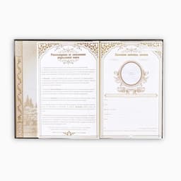 Родословная книга «Наша Семья», 50 листов, 22×31 см