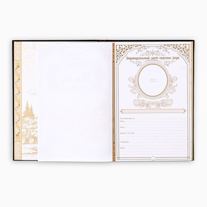 Родословная книга «Наша Семья», 50 листов, 22×31 см