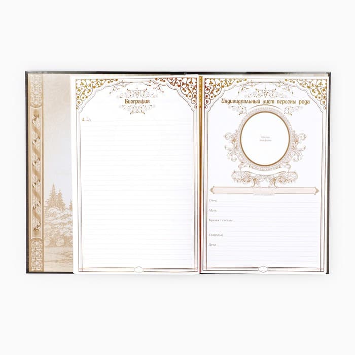 Родословная книга «Наша Семья», 50 листов, 22×31 см