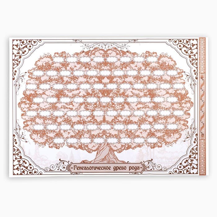 Родословная книга «Наша Семья», 50 листов, 22×31 см