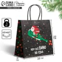 Пакет подарочный новогодний «Беру всё вино на себя», 22×22×11 см