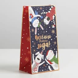 Пакет без ручек «Новогоднее время», 10×19.5×7 см