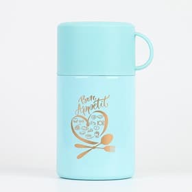 Термос для еды Мастер К, 550 мл, 17×11 см, нержавеющая сталь, голубой