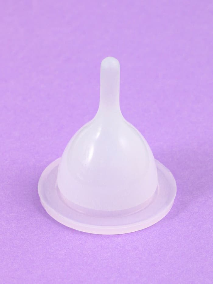 Набор для вскармливания животных «Пижон», бутылочка 150 мл, 2 соски и ёршик