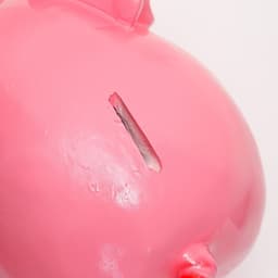 Копилка для денег «Свинка классика», гипс, 15×14 см