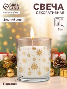 Ароматическая свеча в стакане «Зимний лес»