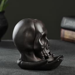 Подставка для благовоний TAKE IT EASY «Череп», набор благовоний конусы, стелющийся дым, 10×8×8 см, с подсветкой, батарейки LR=44