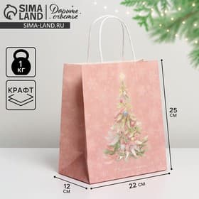 Пакет подарочный новогодний крафтовый «С Новым годом», 22×25×12 см