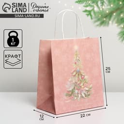 Пакет подарочный новогодний крафтовый «С Новым годом», 22×25×12 см