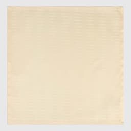 Набор салфеток «Этель» Shine, 45×45 см, с пропиткой ВГМО, 192 г/м², молочный