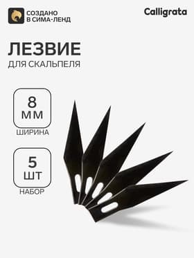 Набор лезвий 5 штук, в пластиковой коробке