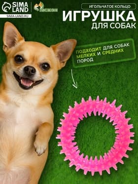 Жевательная игрушка для собак «Игольчатое кольцо», 9 см, розовая