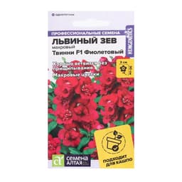 Семена цветов Львиный зев Твинни «Фиолетовый», махровый, 5 шт., «Семена Алтая»