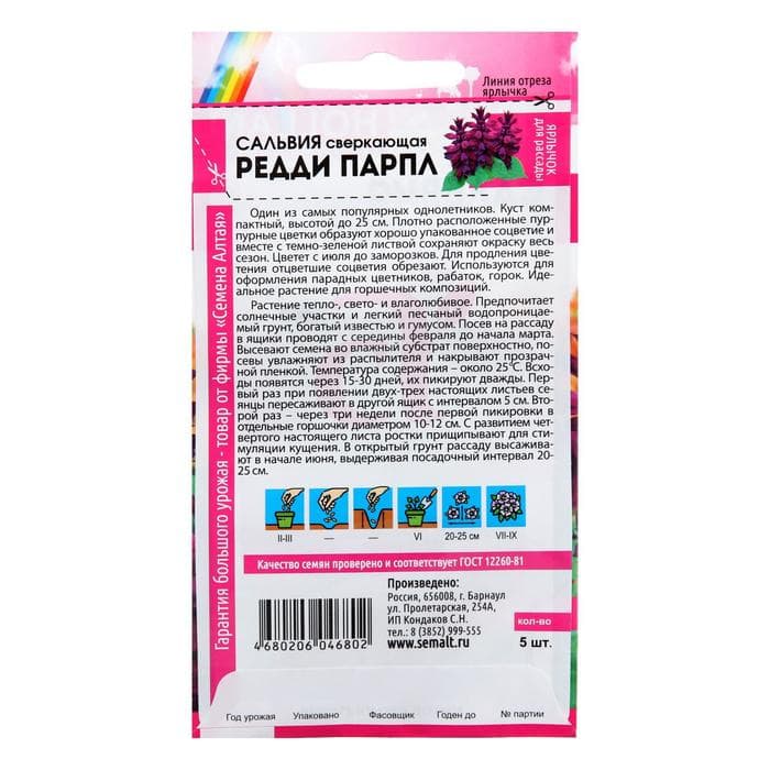 Семена цветов Сальвия «Редди Парпл», сверкающая, 5 шт.